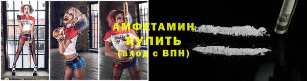 гашик Михайлов