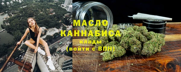 гашик Михайлов