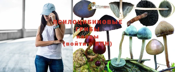 гашик Михайлов