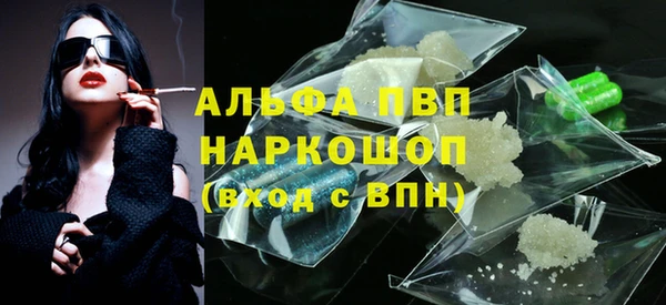 гашик Михайлов