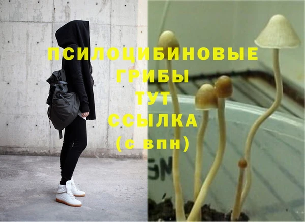 бошки Михайловка